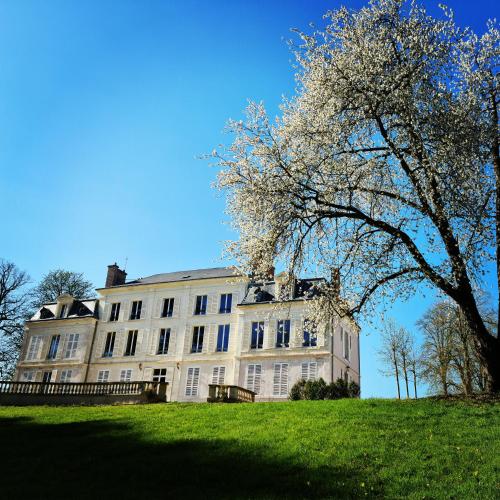 chateau du rollin orleans ouest la chapelle st mesmin