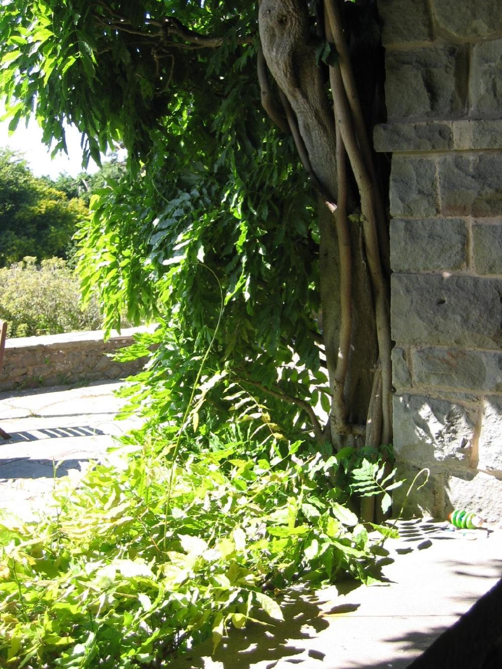 luxury bed and breakfast at bossington hall in exmoor somerset