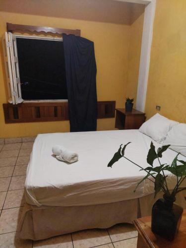 natz hotel