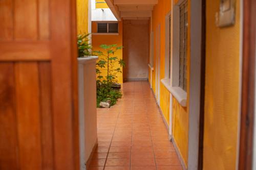 natz hotel