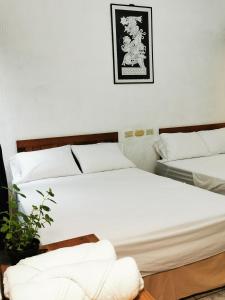 natz hotel