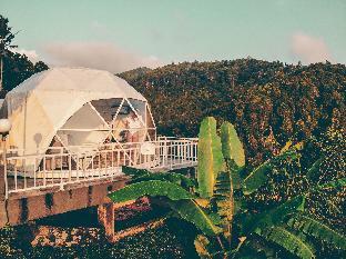 moondock luxury camp