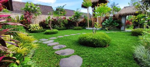 green coconut cottage