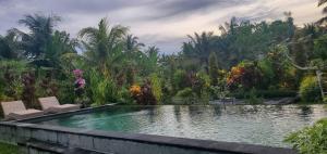 green coconut cottage