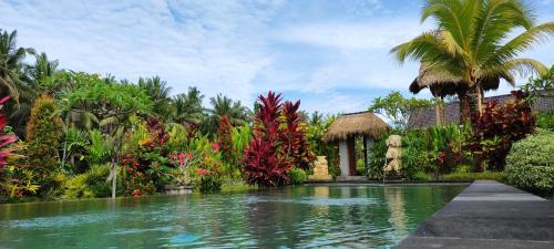 green coconut cottage