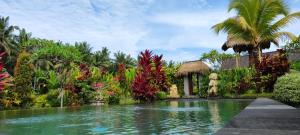 green coconut cottage