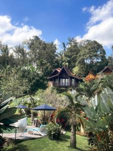 bali palms tabanan