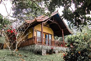 bali palms tabanan