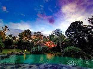 bali palms tabanan