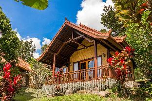 bali palms tabanan