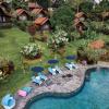 bali palms tabanan