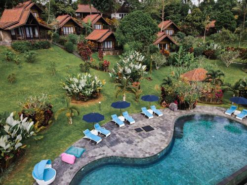 bali palms tabanan