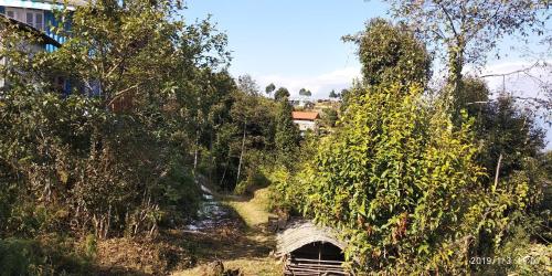kalimpong