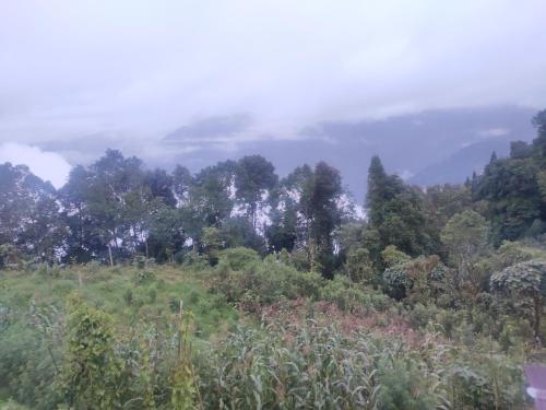 kalimpong