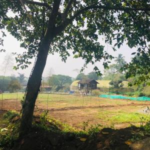 trichur
