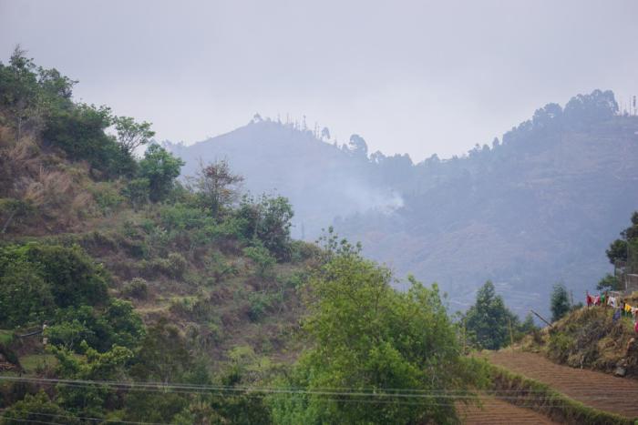 cottages by the creek