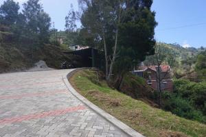 cottages by the creek