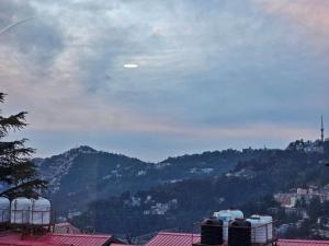 shimla