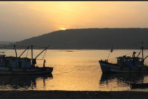 goa