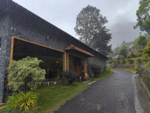 the wild trails clarks exotica munnar