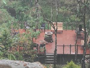 the wild trails clarks exotica munnar