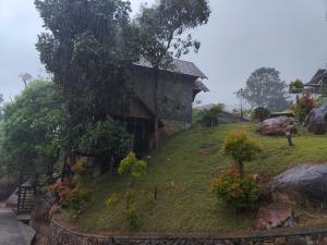 the wild trails clarks exotica munnar