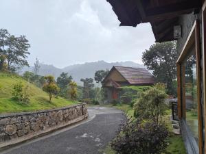 the wild trails clarks exotica munnar