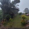 the wild trails clarks exotica munnar