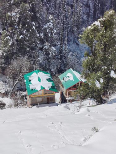 the forest pinnacle and cafe sojha