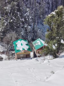 the forest pinnacle and cafe sojha