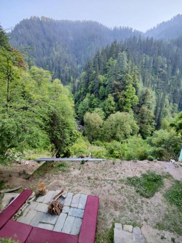 the forest pinnacle and cafe sojha