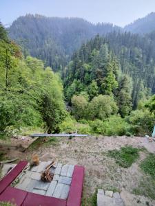 the forest pinnacle and cafe sojha