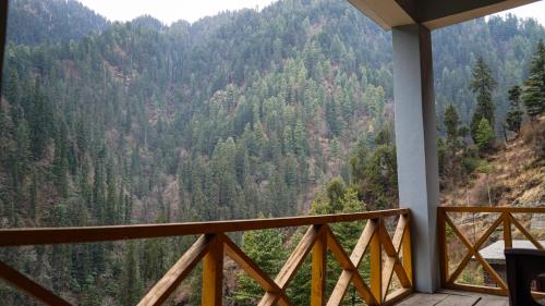 the forest pinnacle and cafe sojha