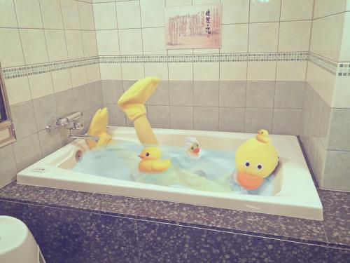 hotel the i adult only