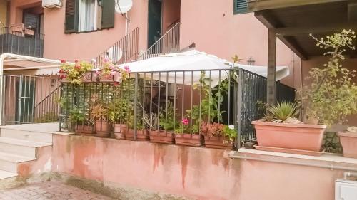 apartment with terrace