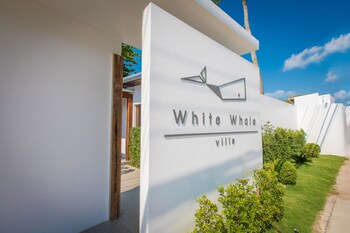 white whale beachfront pool villa