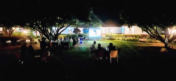 northern pearl limited