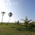 kay jay palms