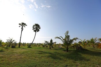 kay jay palms