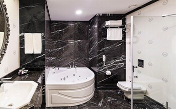 premier inn sakarya