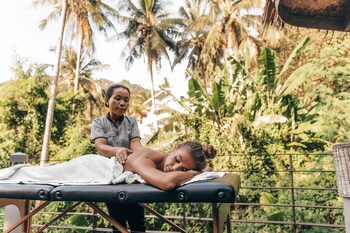 santosa detox and wellness center