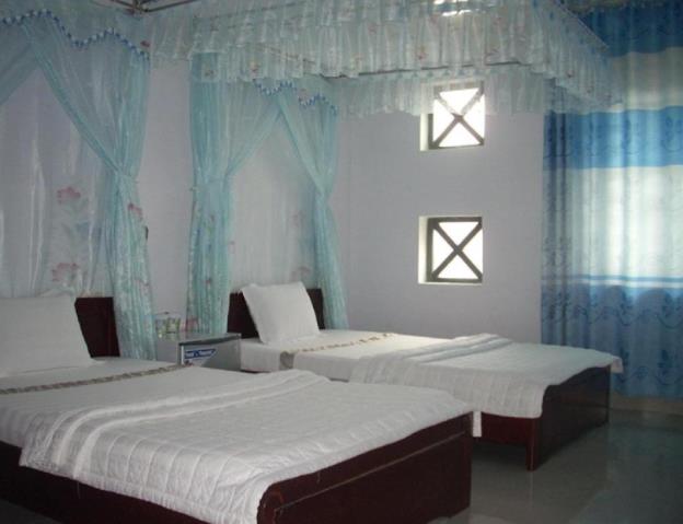 quang nam guest