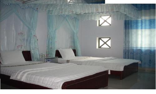 quang nam guest