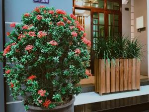 anan homestay hue