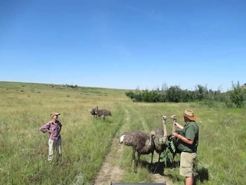 boschfontein mountain lodge