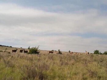 boschfontein mountain lodge