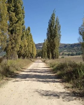 boschfontein mountain lodge