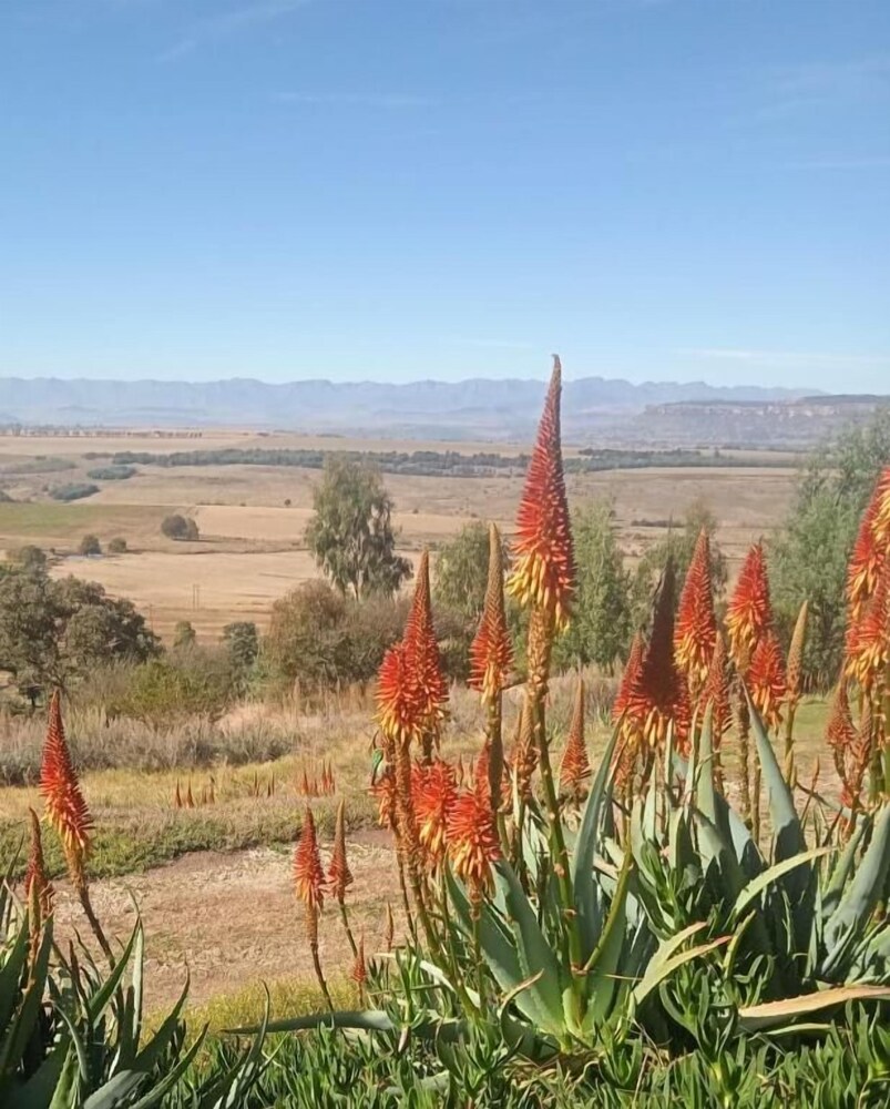 boschfontein mountain lodge
