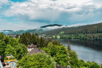 nature titisee