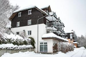nature titisee